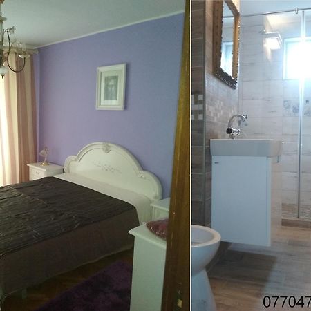 Pelican Proxy Apartment Oradea Extérieur photo