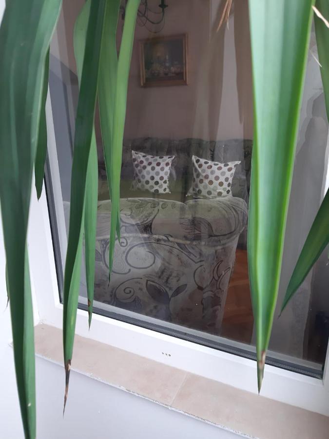 Pelican Proxy Apartment Oradea Extérieur photo