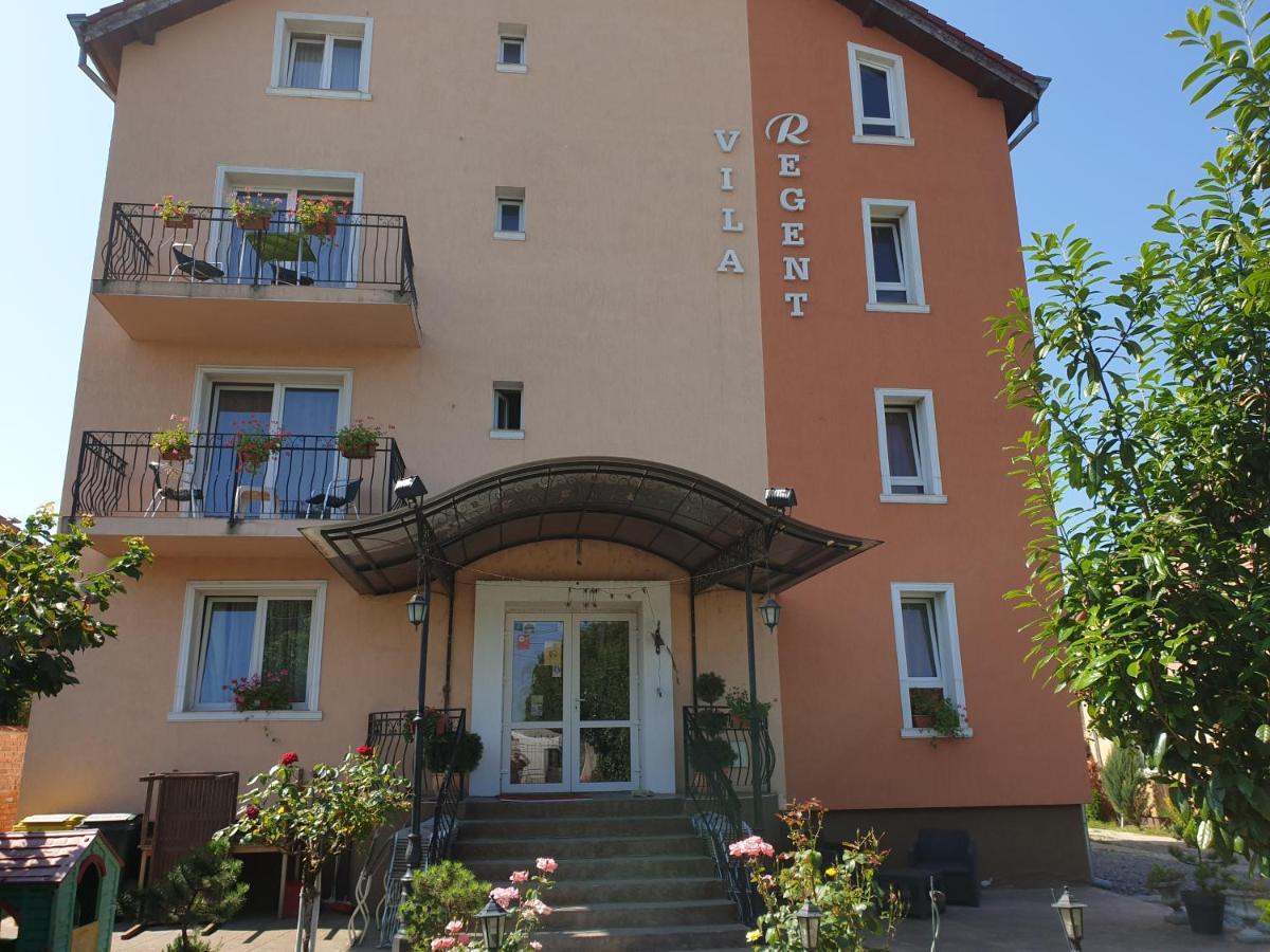 Pelican Proxy Apartment Oradea Extérieur photo