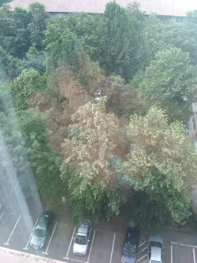 Pelican Proxy Apartment Oradea Extérieur photo